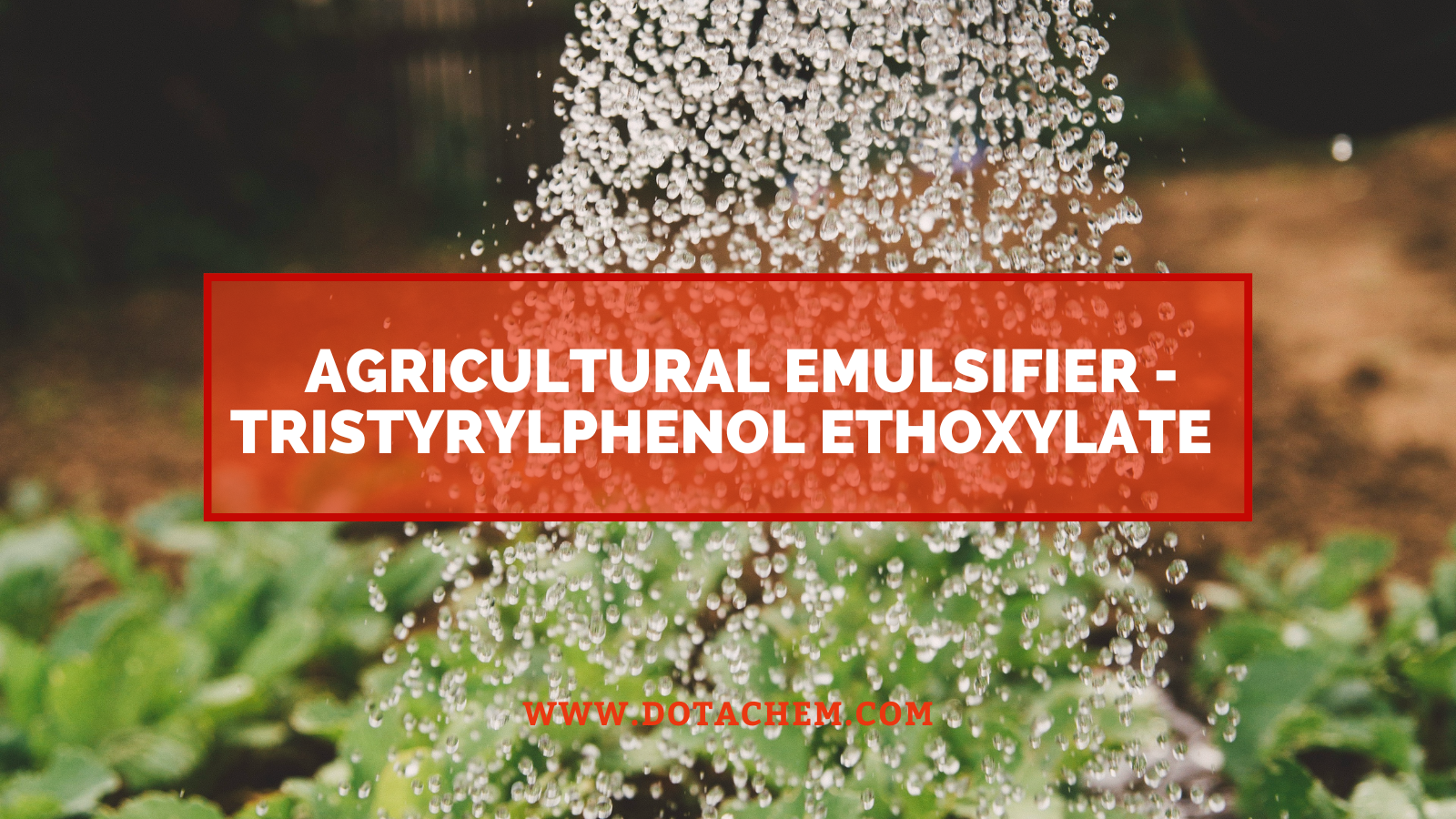 Nova elekto por agrikultura emulsigilo - Tristyrylphenol Ethoxylate de Dotachem estas profesie liverita!