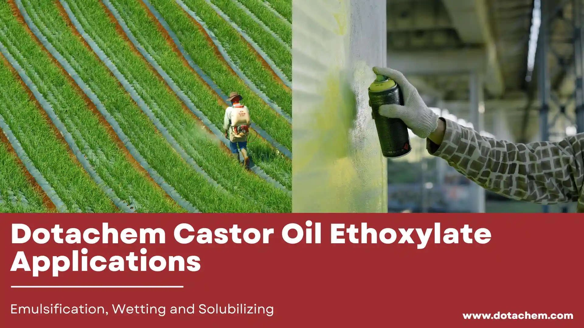 Dotachem Castor Oil Ethoxylate Aplikoj en Emulsigo, Malsekigado kaj Solvo