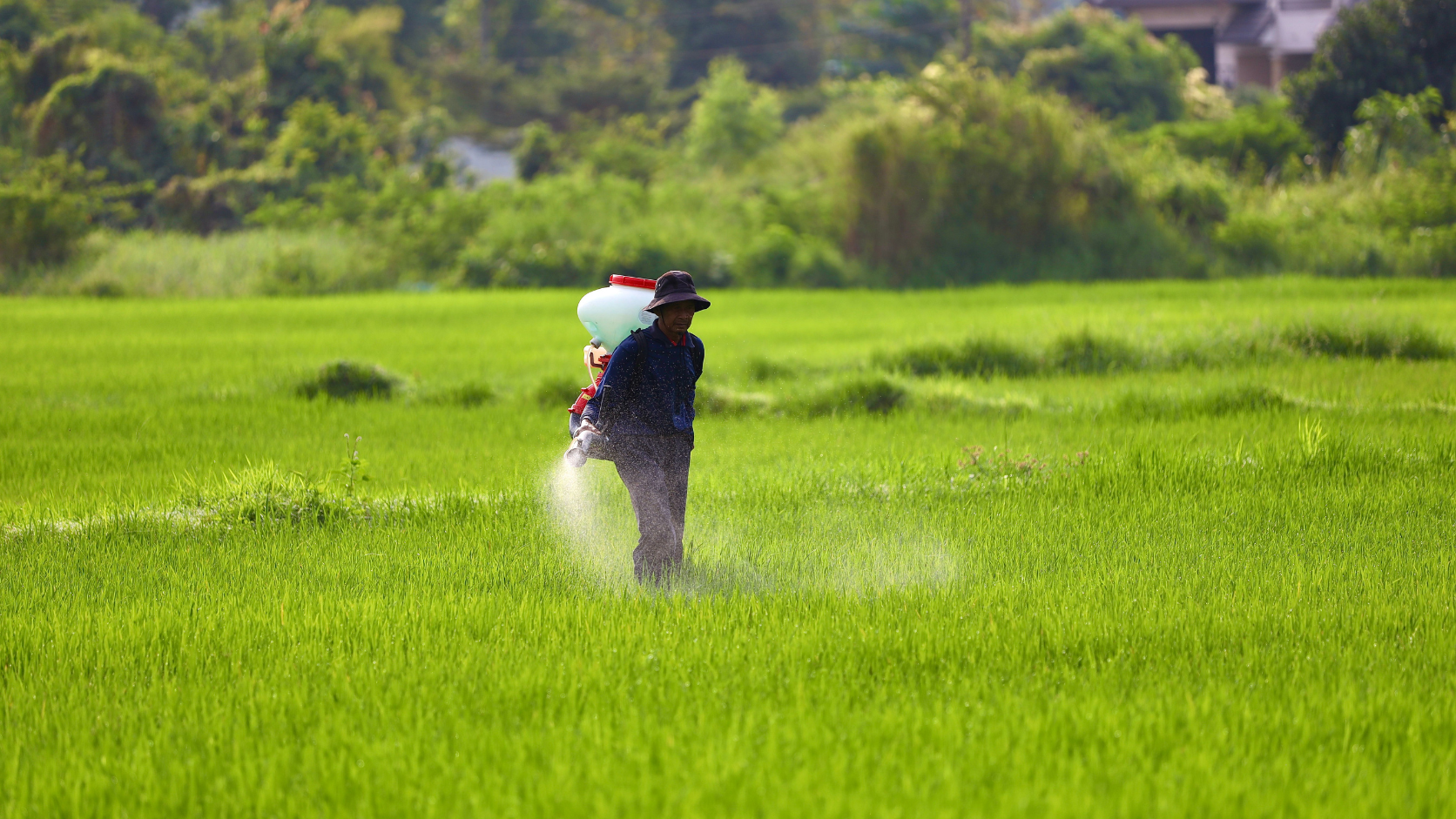 Por kio estas monoetanolamino uzata en agrokemiaĵoj?